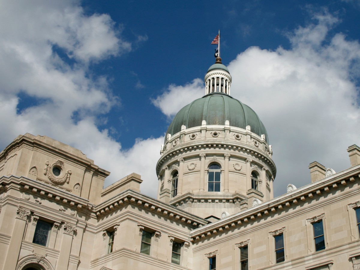 Letter Comments on Indiana Social Studies Standards by David Randall NAS